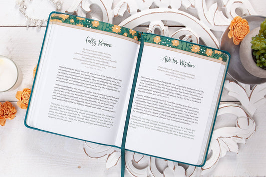 Daily Strength for Mothers (Devotional)