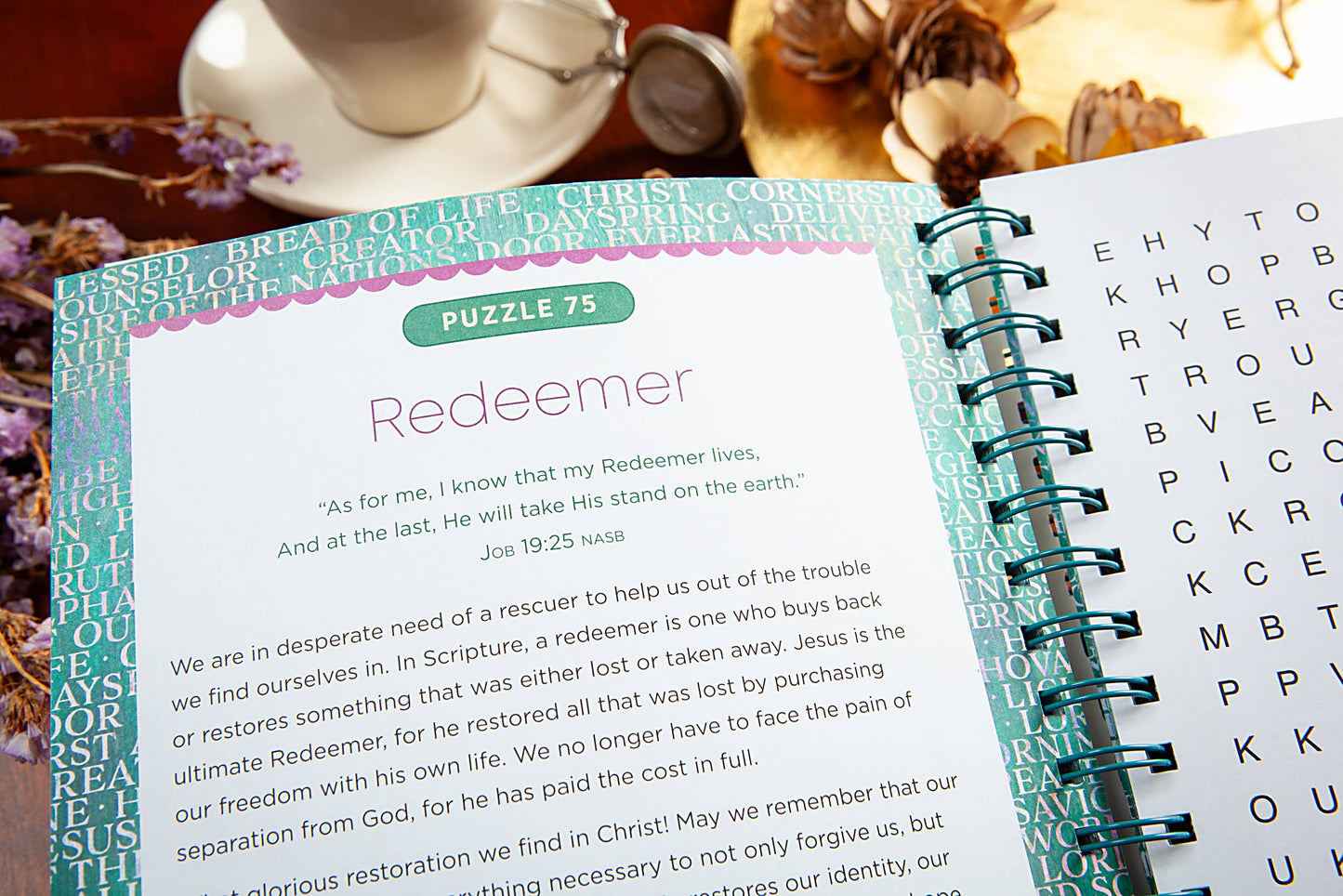 100 Meditations on the Names of Jesus (Word Search Devotional)