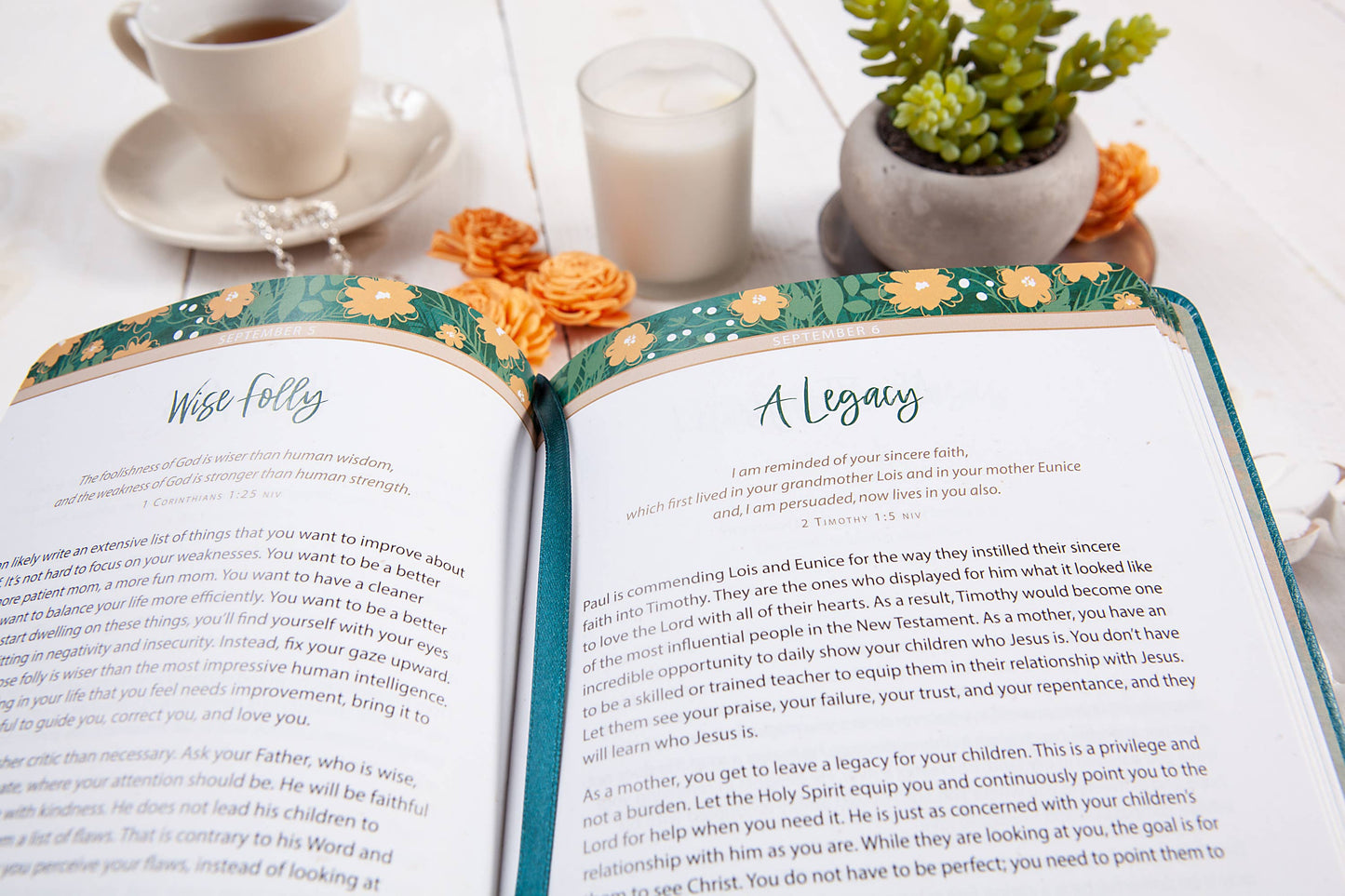Daily Strength for Mothers (Devotional)