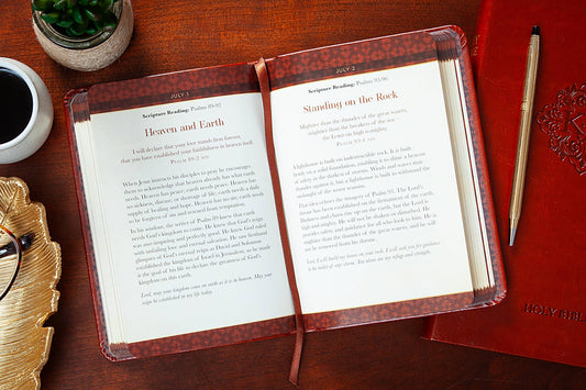 The Bible Reading Plan Devotional for Men (Daily Devotional)