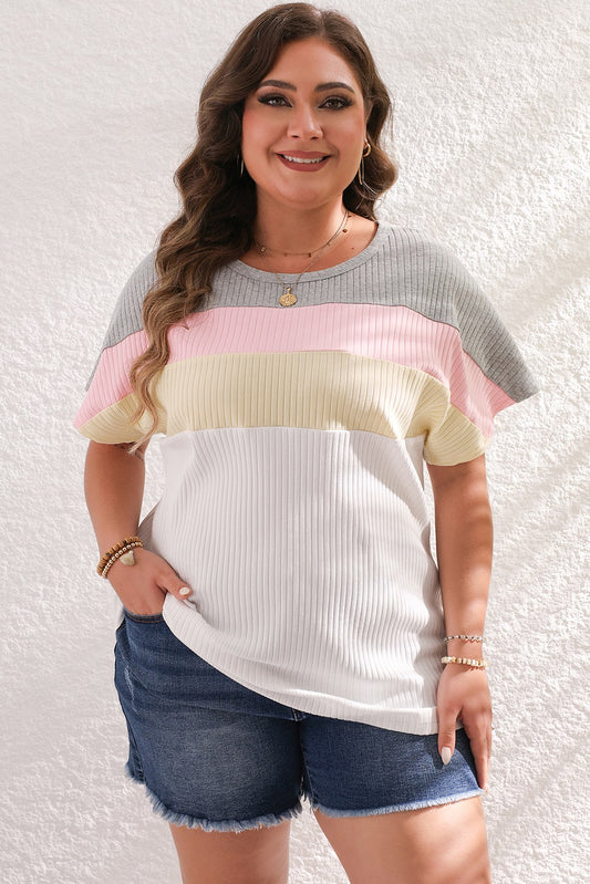 Plus White Color Block Top