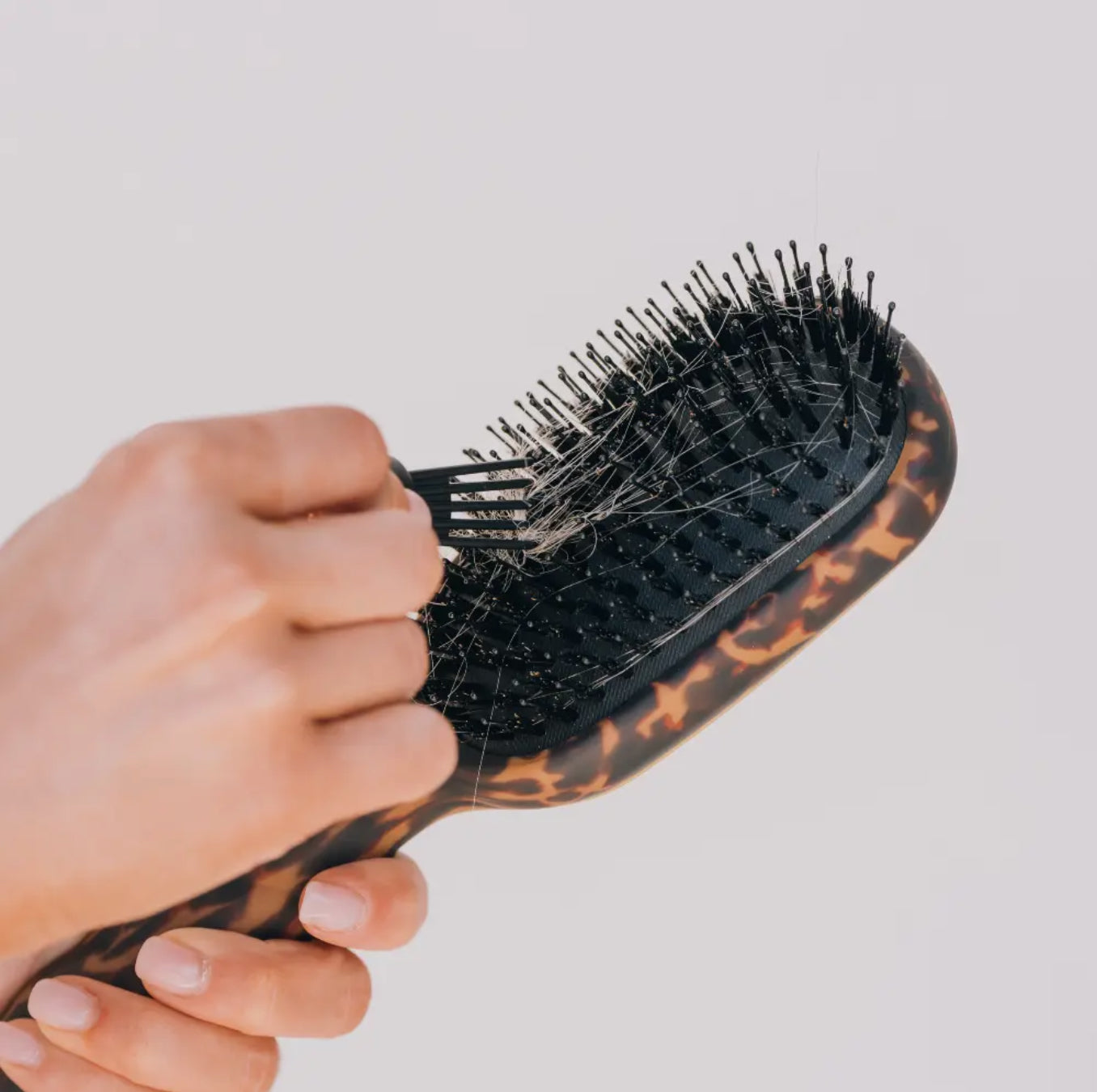 TELETIES Tortoise Boar Bristle Hair Brush