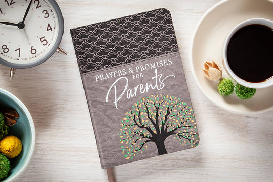 Prayers & Promises for Parents (Prayer Devotional)