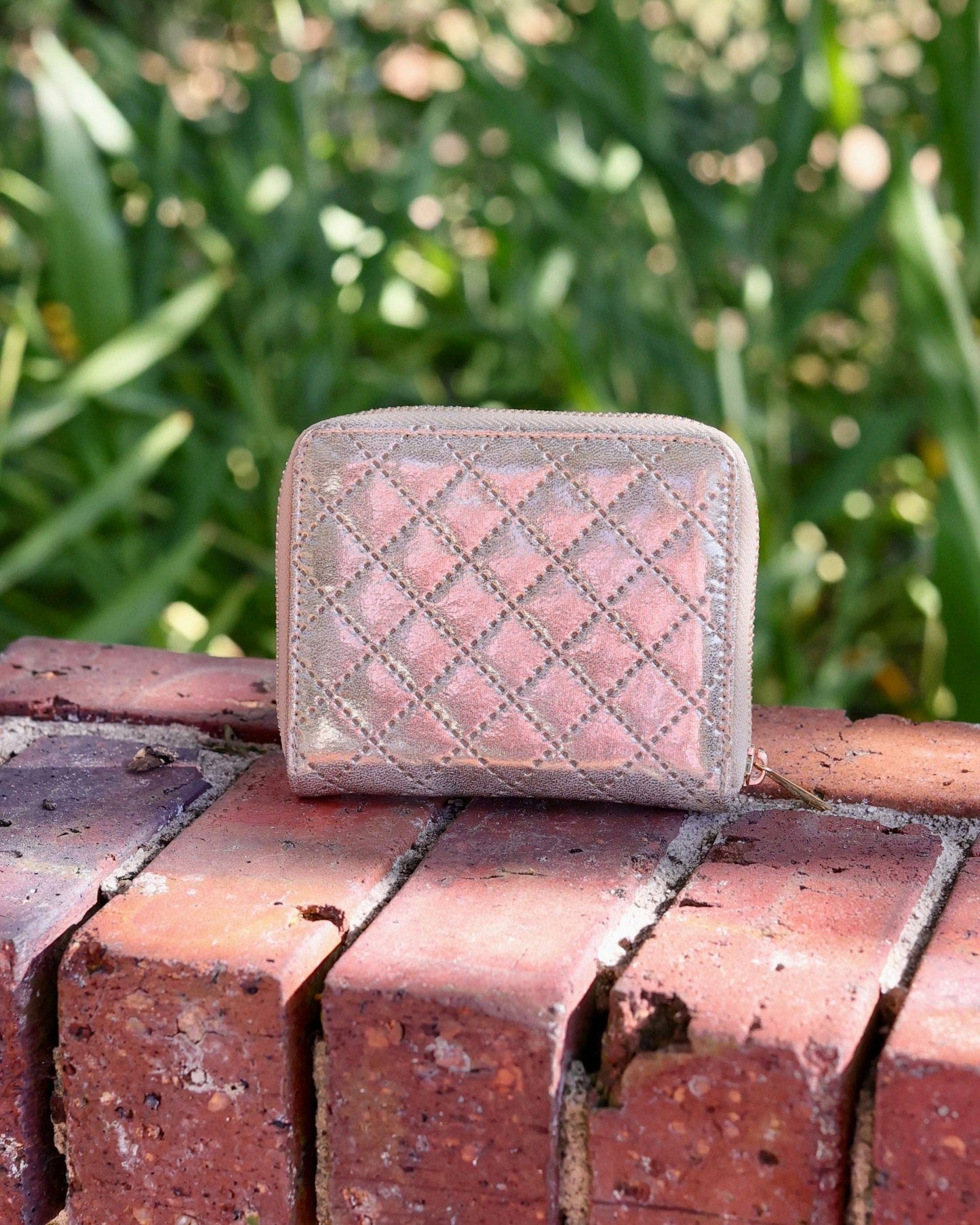 Champagne Pop Blakely Wallet