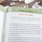 Detox for the Soul (Daily Devotional)