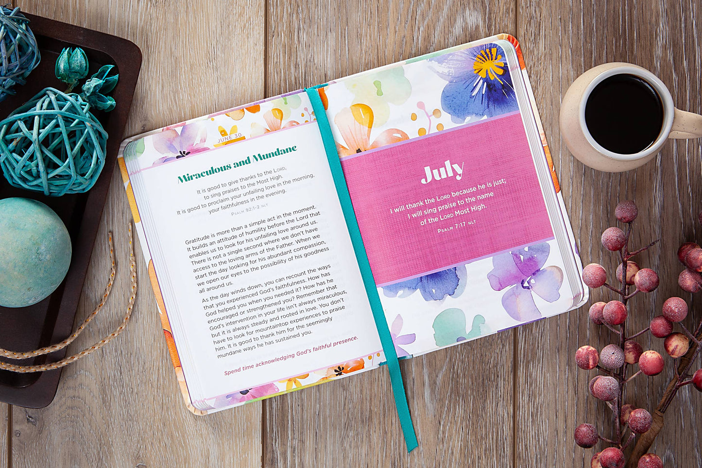 Too Grateful to be Hateful (Devotional, Mother's Day Gifts)