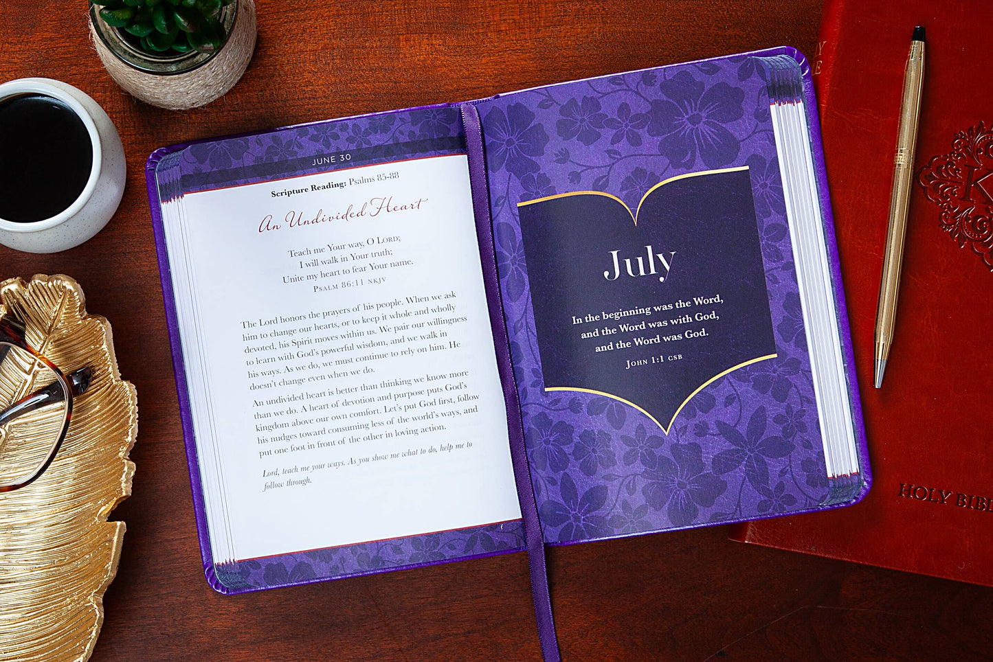 The Bible Reading Plan Devotional for Women (Devotional)