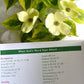 Read Through the Bible in a Year Planner: 2026 Edition