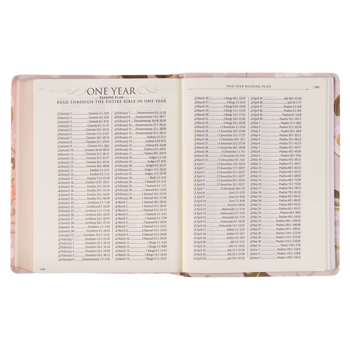 KJV Notetaking Bible Faux Leather Strength&Dignity Prov 31:25